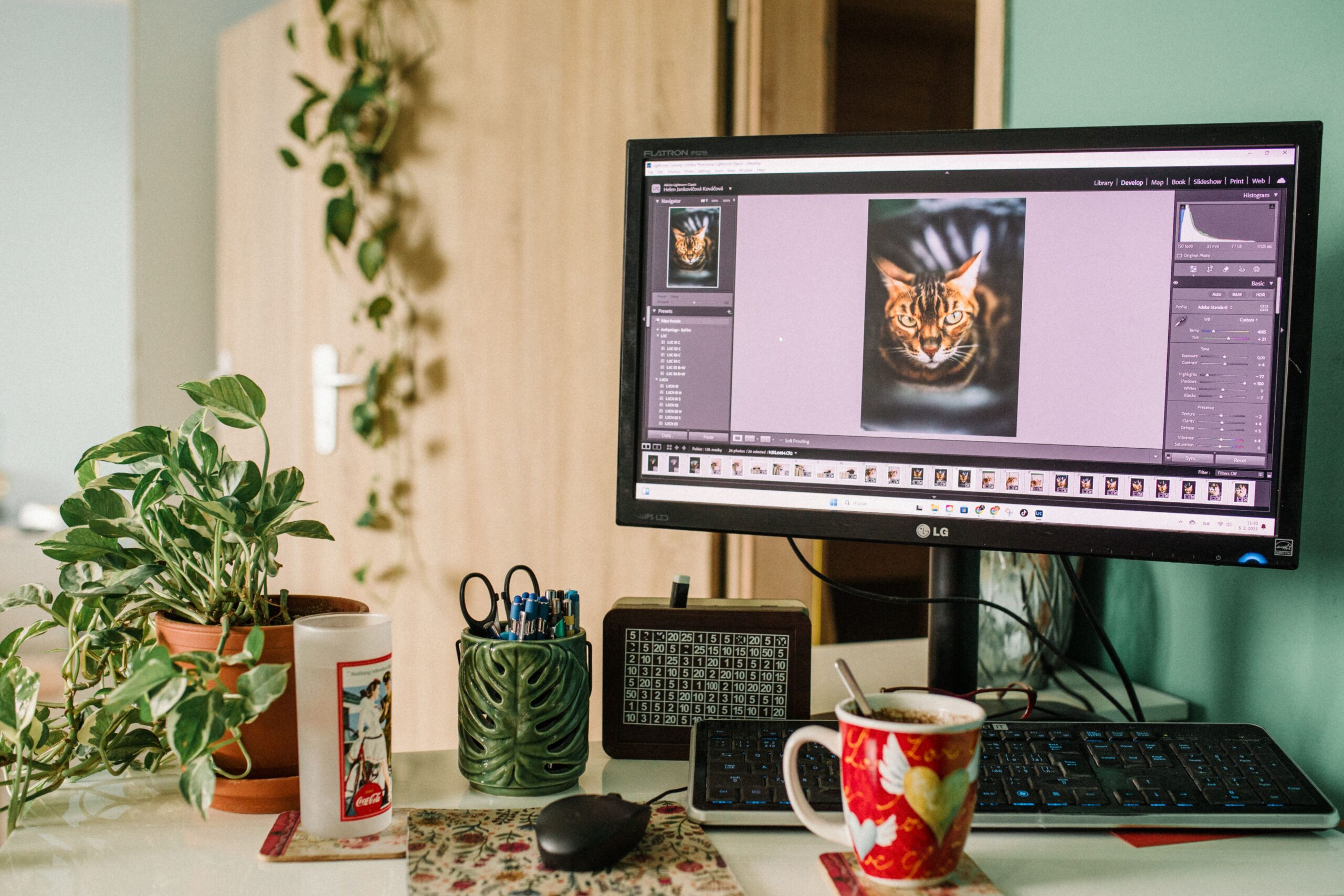 UX and UI Design Services and Consulting for Every Business Stage